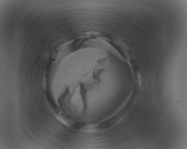 X0000080660080200701121617