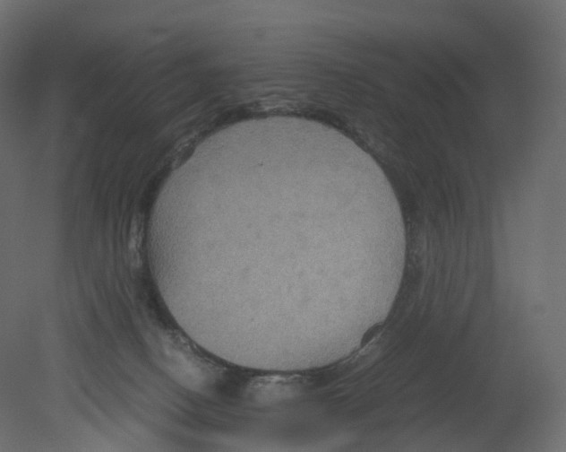 X0000080660082200701121617