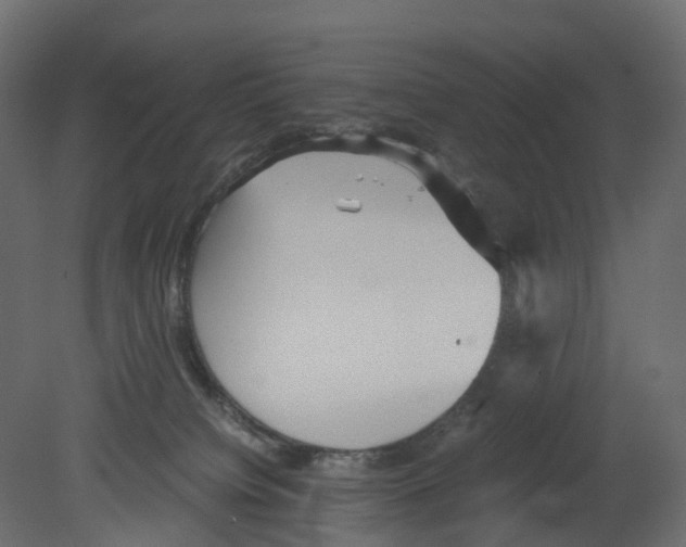 X0000080660084200701121617