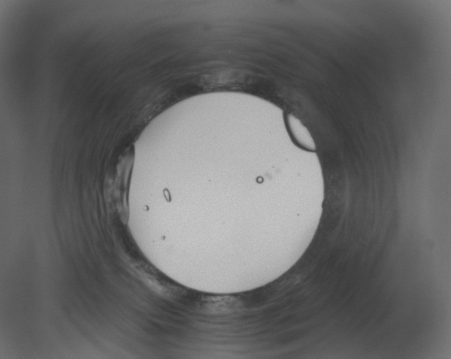 X0000080660087200701121617