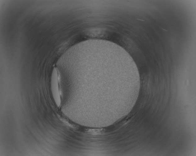 X0000080660089200701121618