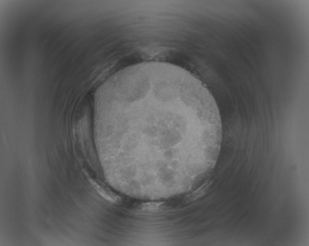 X0000080660090200701121618