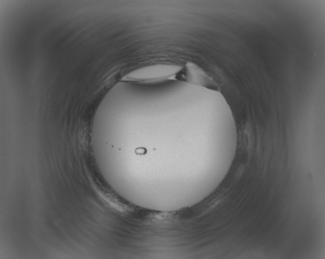 X0000080660092200701121618