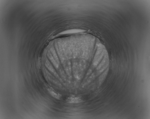 X0000080660093200701121618