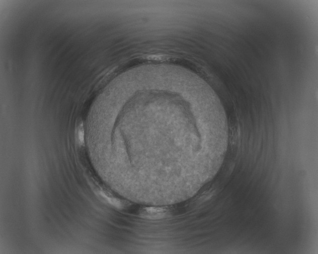 X0000080660095200701121618