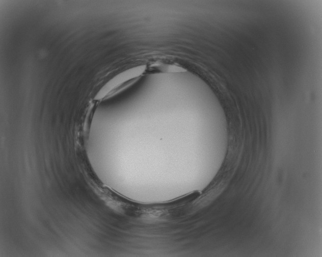 X0000080660096200701121618