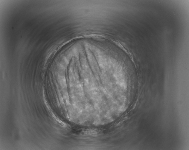 X0000080660097200701121617