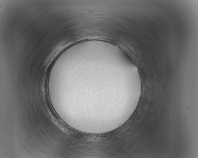 X0000080660098200701121617