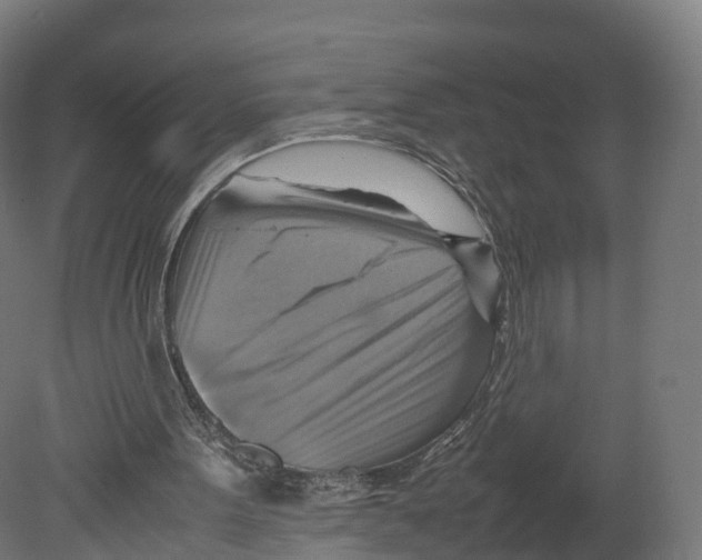 X0000080660099200701121617