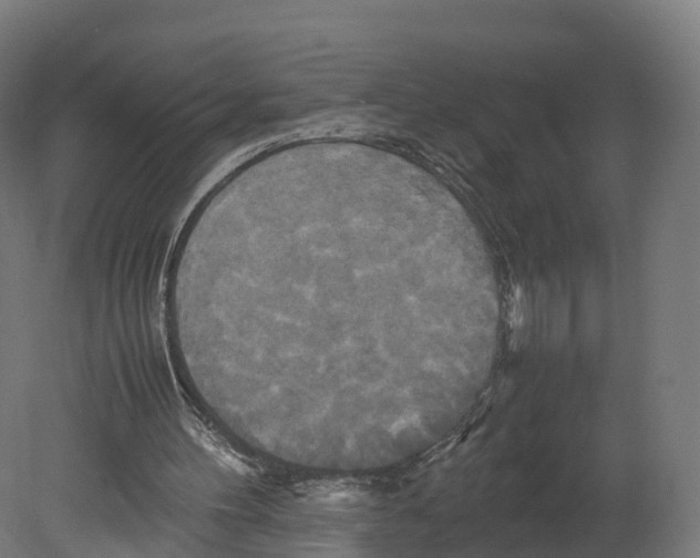 X0000080660100200701121617