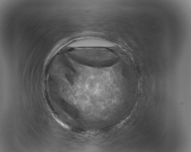 X0000080660101200701121617