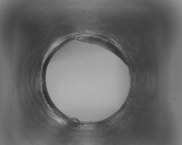 X0000080660102200701121617