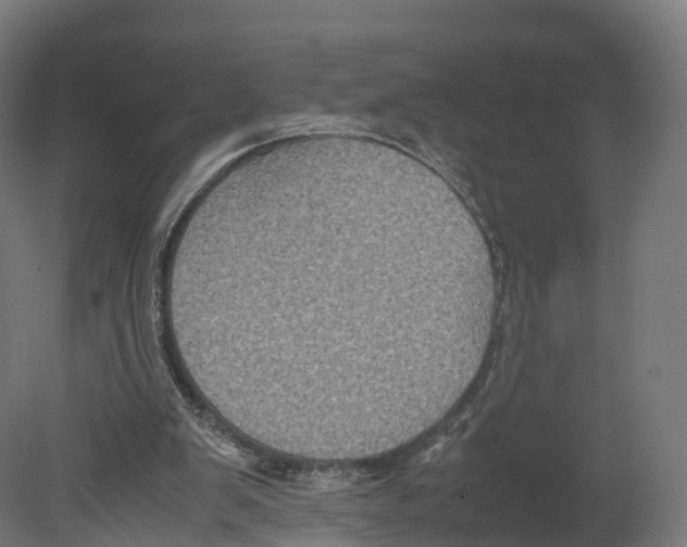 X0000080660103200701121617