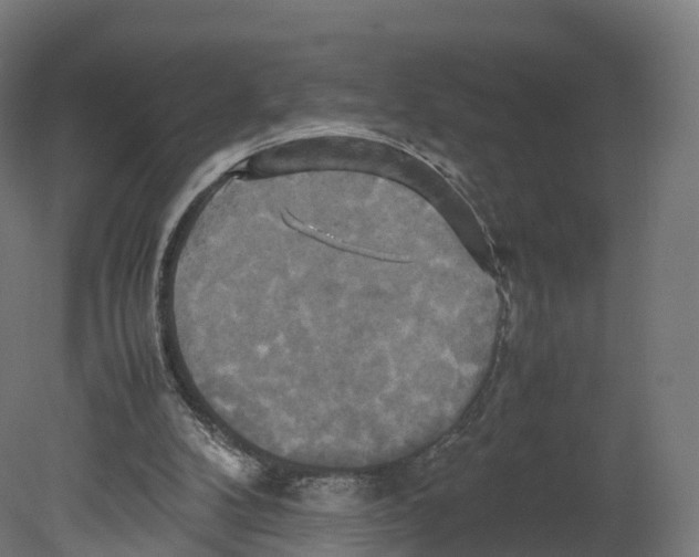 X0000080660104200701121617