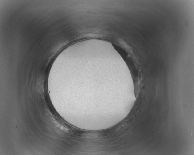 X0000080660106200701121617