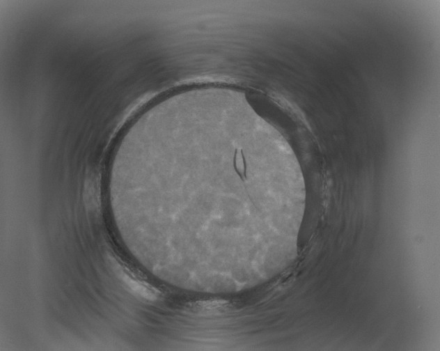 X0000080660108200701121617