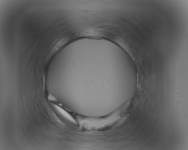 X0000080660109200701121617