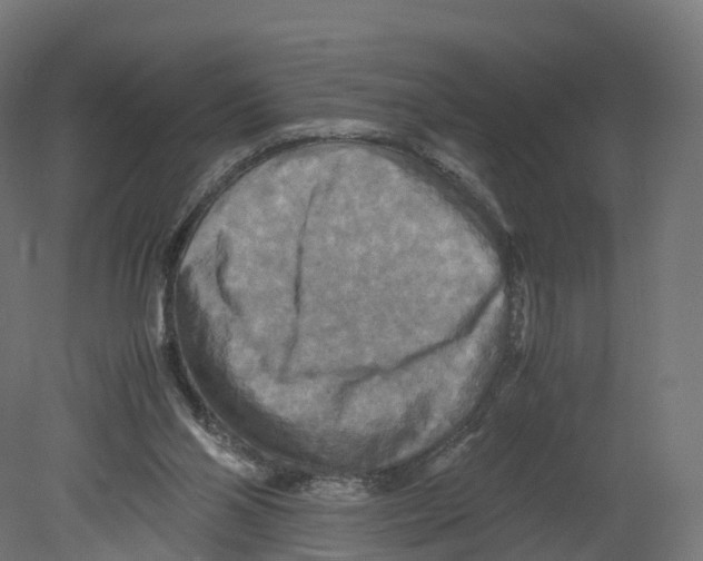 X0000080660110200701121617