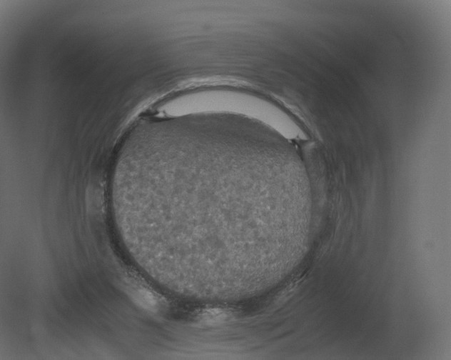 X0000080660111200701121617