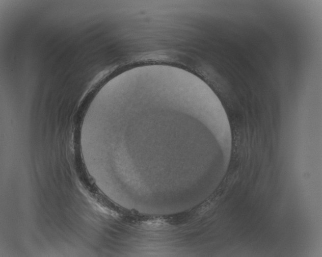 X0000080660112200701121617