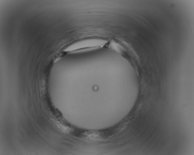 X0000080660113200701121617