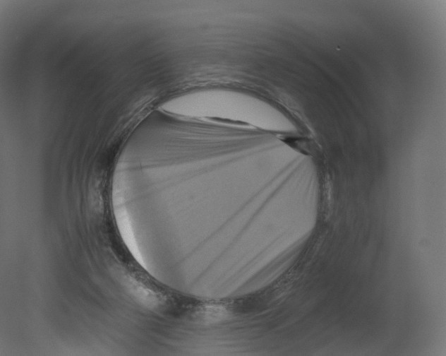 X0000080660114200701121617