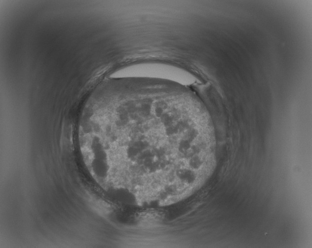 X0000080660115200701121617