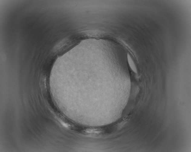 X0000080660117200701121616