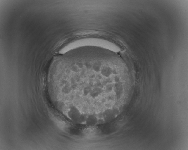 X0000080660119200701121616