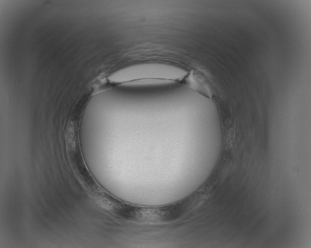 X0000080660121200701121616