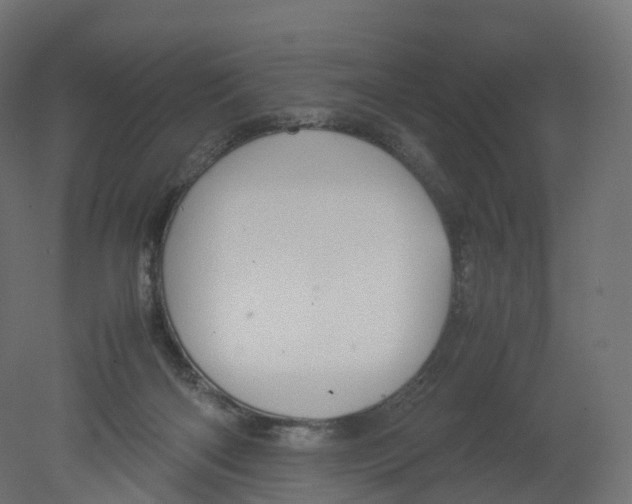 X0000080660122200701121616