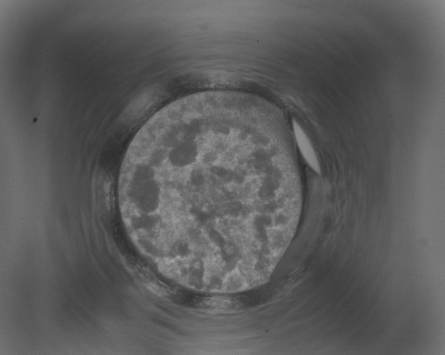 X0000080660123200701121616