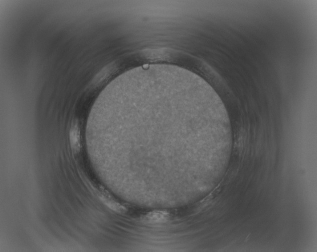 X0000080660124200701121616