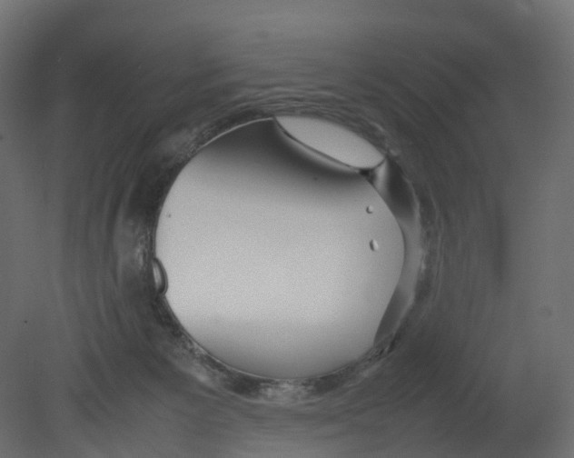 X0000080660125200701121616