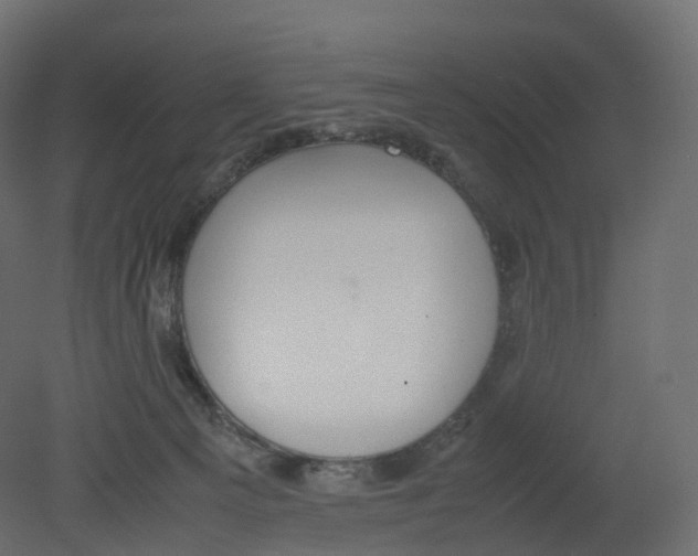 X0000080660129200701121616