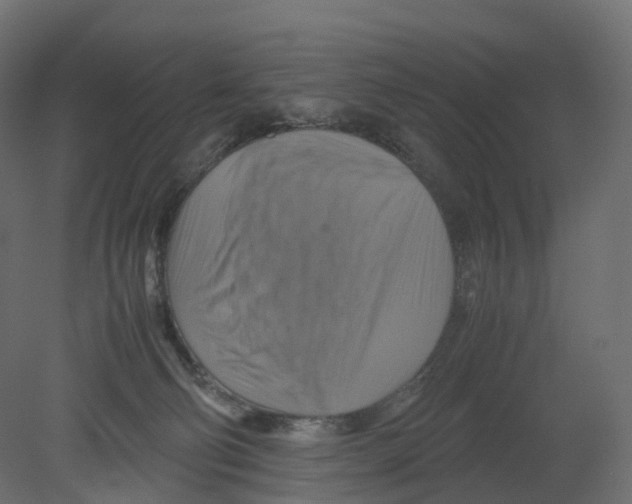 X0000080660130200701121616