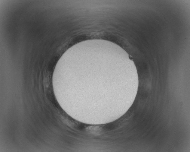 X0000080660133200701121616