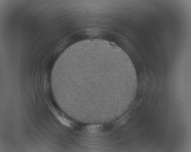 X0000080660136200701121616