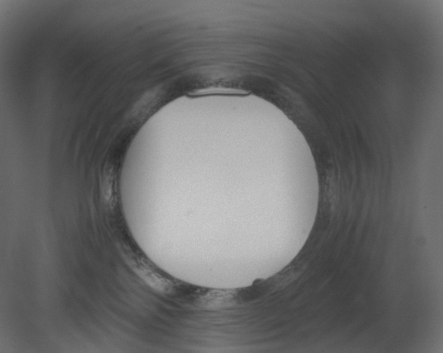 X0000080660138200701121616