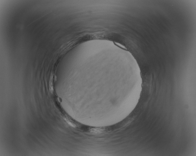 X0000080660139200701121616