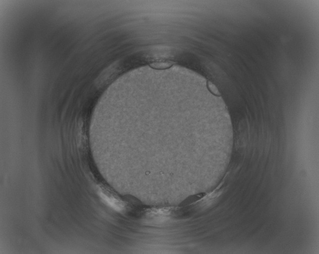 X0000080660140200701121616