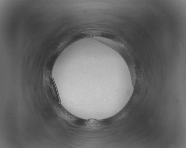 X0000080660141200701121616