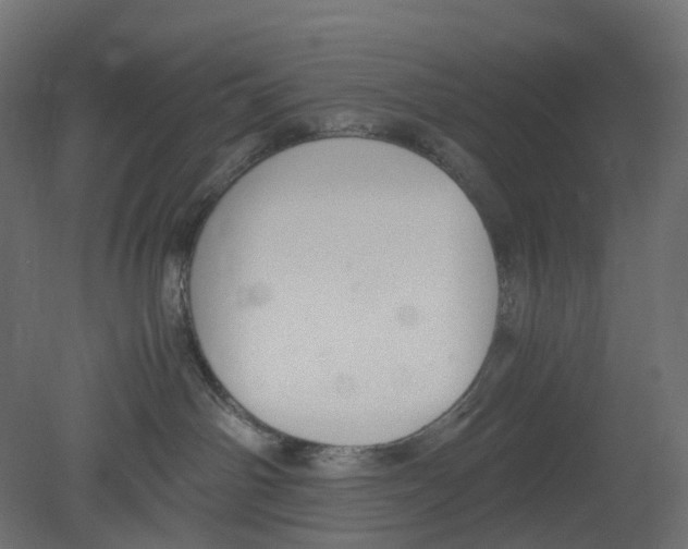 X0000080660142200701121616