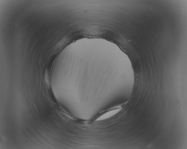 X0000080660143200701121616