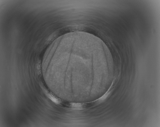 X0000080660144200701121616