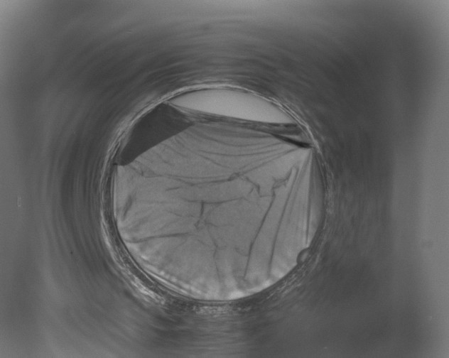 X0000080660145200701121615