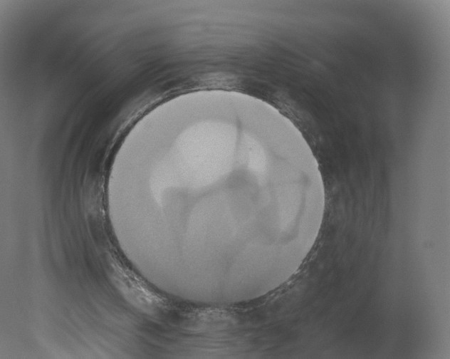 X0000080660146200701121615