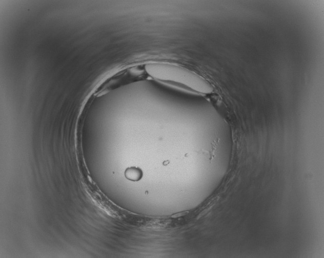 X0000080660148200701121615