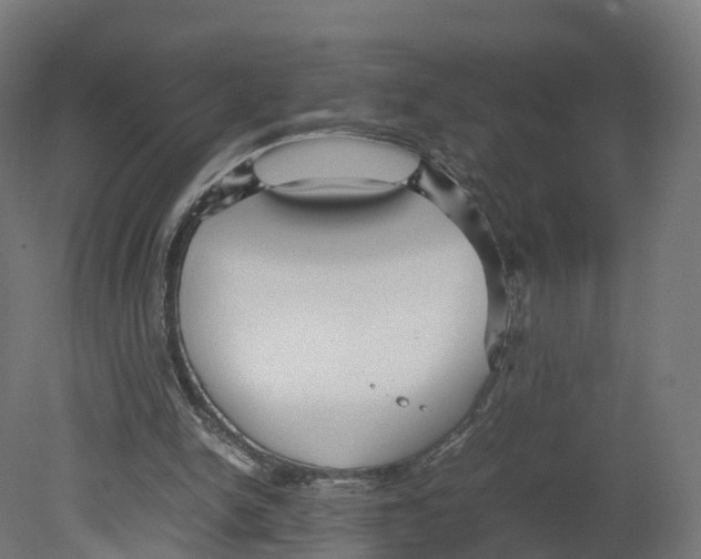 X0000080660150200701121615