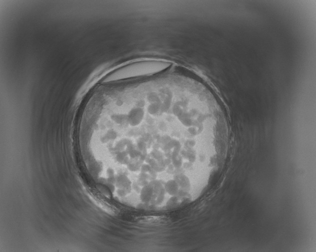 X0000080660151200701121615